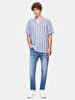 Relaxed Short Sleeve Striped Print Basic Blue Shirt