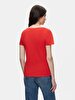 Short Sleeve Basic V-neck Regular Red T-shirt