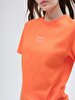 Crew Neck Short Sleeve Regular Orange T-shirt