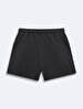 Basic Mini Antracite Shorts