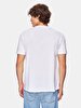 Crew Neck Short Arm Regular White T-shirt