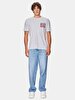 Crew Neck Short Arm Regular Grey T-shirt