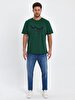 Crew Neck Short Sleeve Regular Green T-shirt