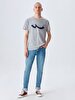 Short Sleeve Crew Neck Sign With Print Regular Grey T-shirt