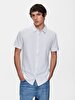 Basic Slim Fit Short Sleeve White T-shirt