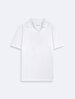 White T-shirt