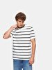 Striped Print Short Sleeve Green T-shirt