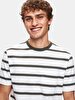 Striped Print Short Sleeve Green T-shirt