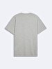 Short Sleeve Crew Neck Print With Print Regular Grey T-shirt