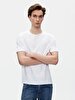 Basic Crew Neck Regular Dust T-shirt