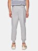 With Print Basic Elastic Grey Tracksuit