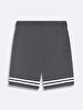 Antracite Shorts