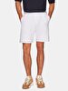 Writing With Print Regular Grey Shorts