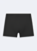 Anthracite Boxer