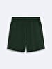 Basic Mini Green Shorts