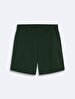 Basic Mini Green Shorts