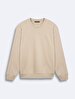 Camel Sweatshirt