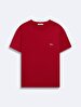 Short Sleeve Crew Neck Sign With Print Basic Red T-shirt