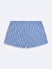 Blue Shorts