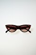 Brown Glasses