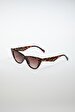 Brown Glasses