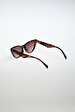Brown Glasses