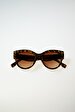 Brown Glasses