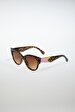 Brown Glasses
