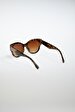 Brown Glasses
