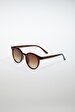Brown Glasses
