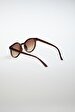 Brown Glasses