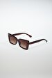 Brown Glasses