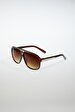 Brown Glasses