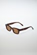 Brown Glasses