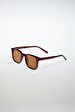 Brown Glasses