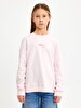 Pink Sweatshirt
