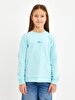 Blue Sweatshirt