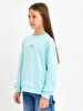 Blue Sweatshirt