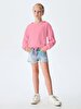Pink Sweatshirt