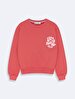 Pink Sweatshirt