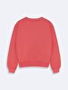 Pink Sweatshirt