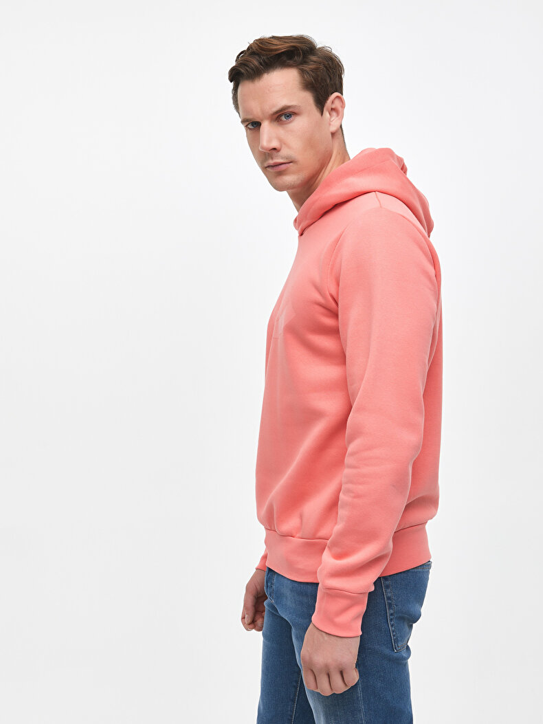 Ltb Logo Roze Sweatshirt