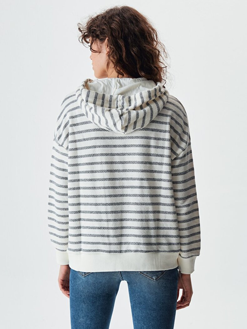 Striped Print Multicolor Sweatshirt
