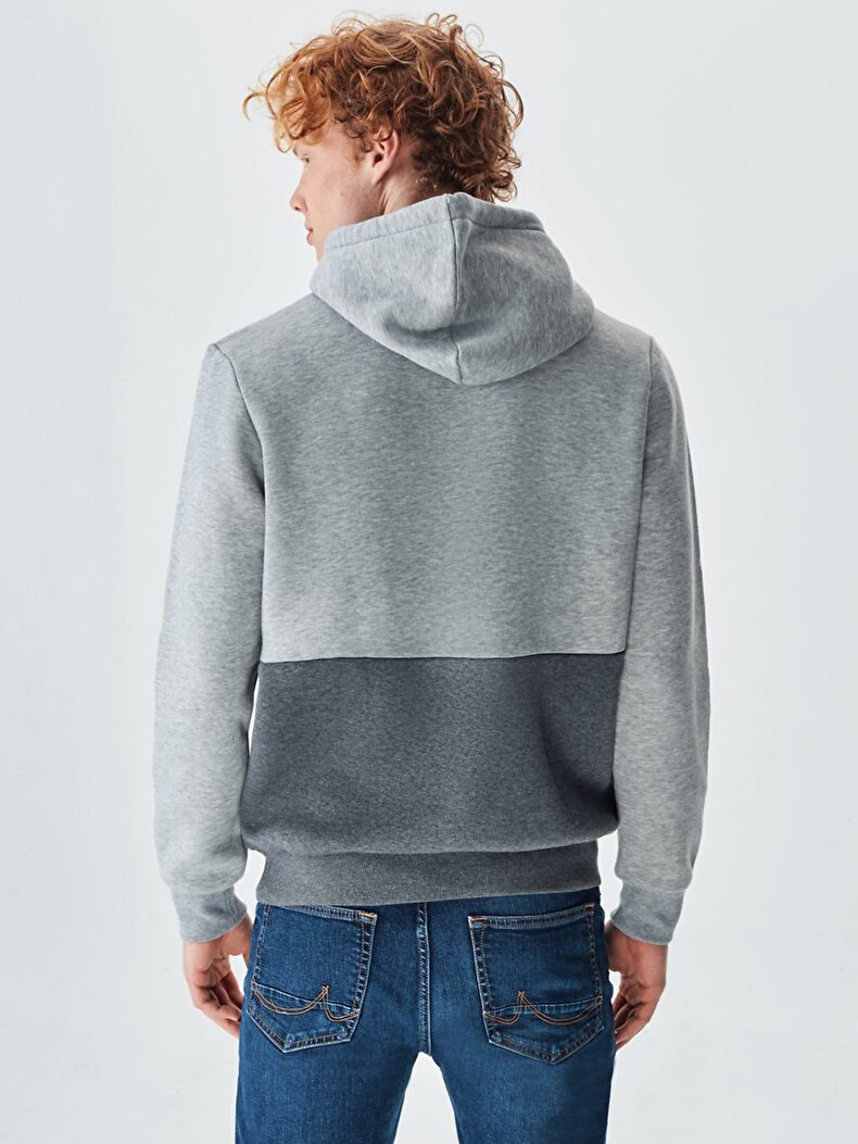 Striped Print Grau Sweatshirt