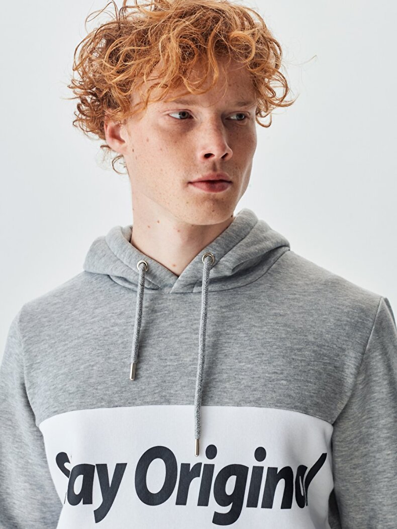 Striped Print Grau Sweatshirt