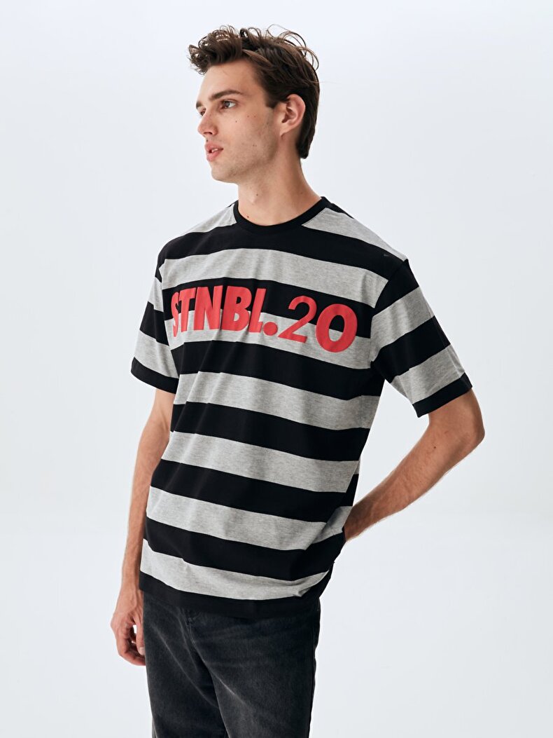 Striped Print With Print T-shirt