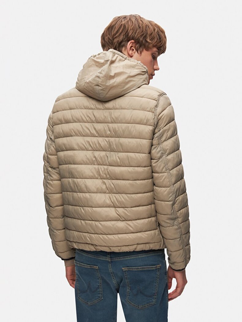 With Hood Straight Green Coat