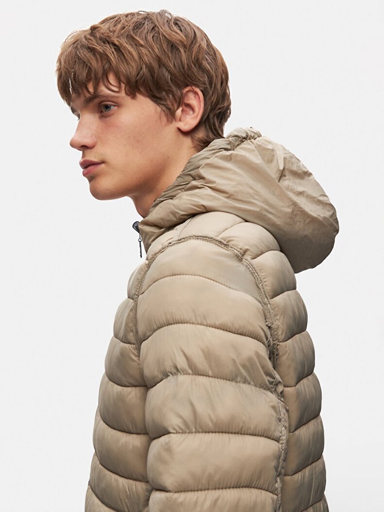 With Hood Straight Green Coat