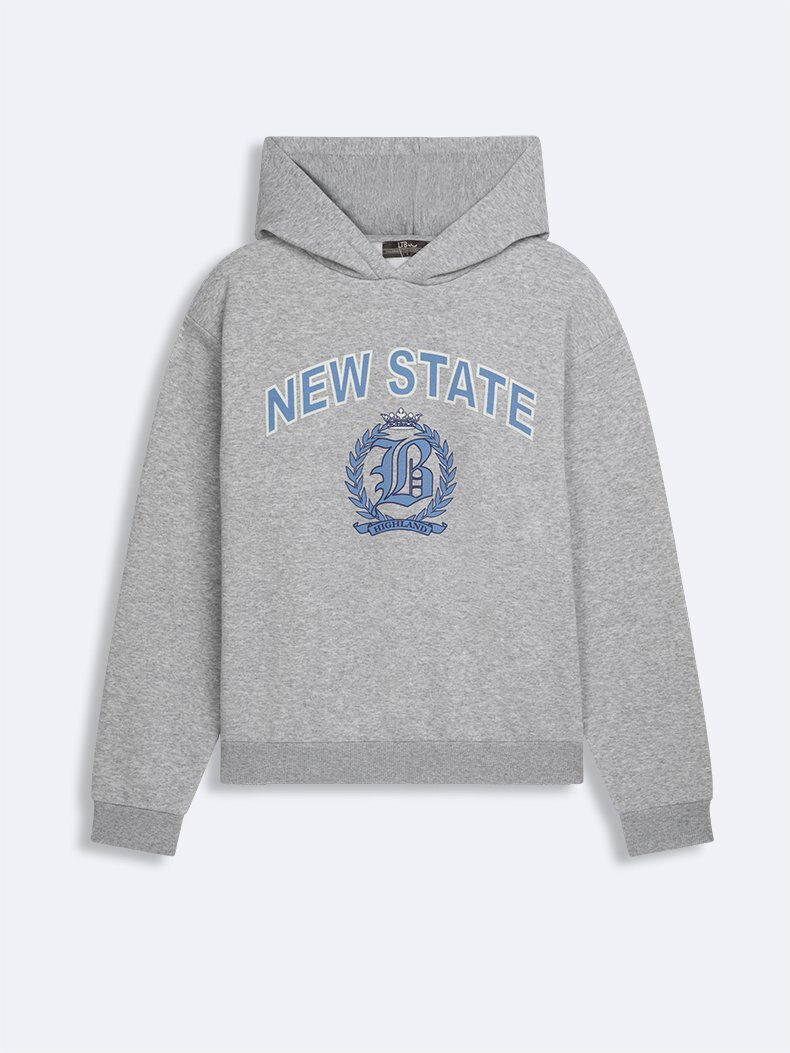 Baskılı Kapüşonlu Fermuarsız Regular Fit Gri Sweatshırt