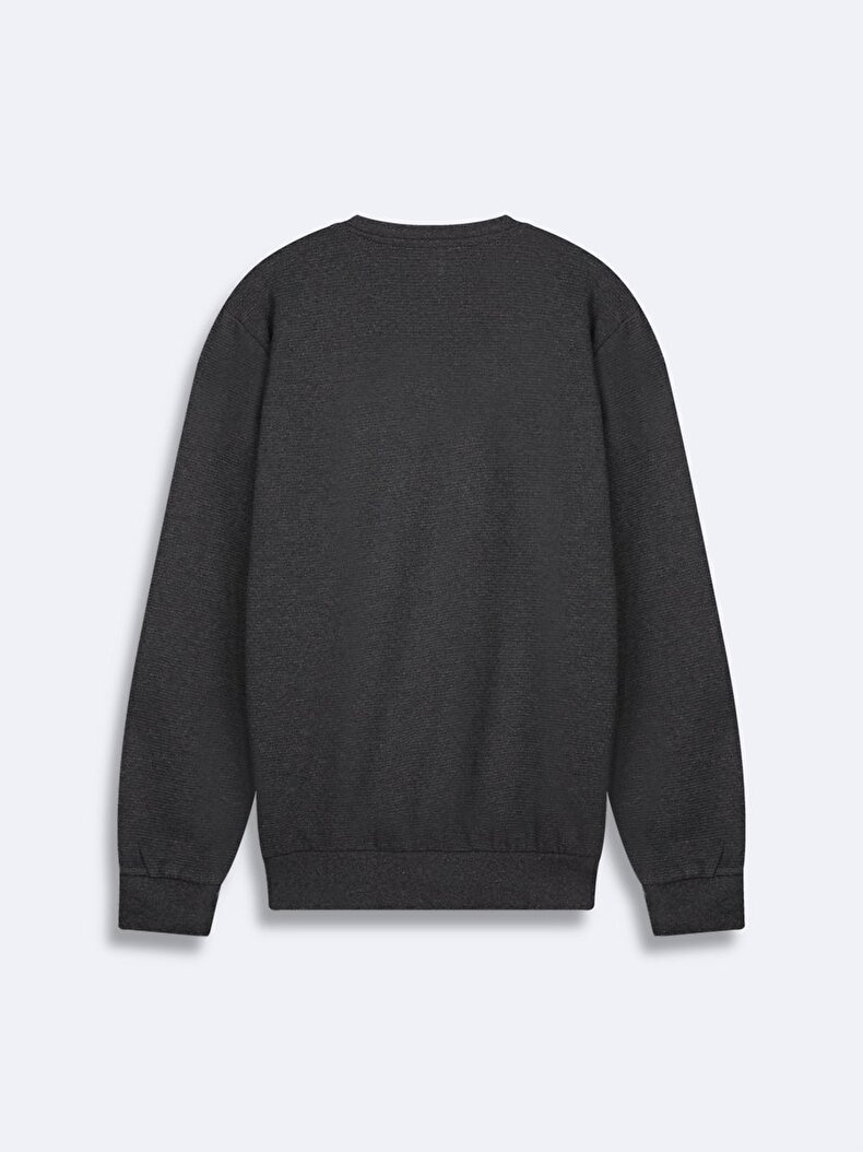 Straight Crew Neck Long Sleeve Regular Fit Anthracite Sweatshirt